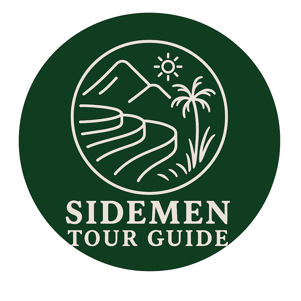 Sidemen Tour Guide Logo